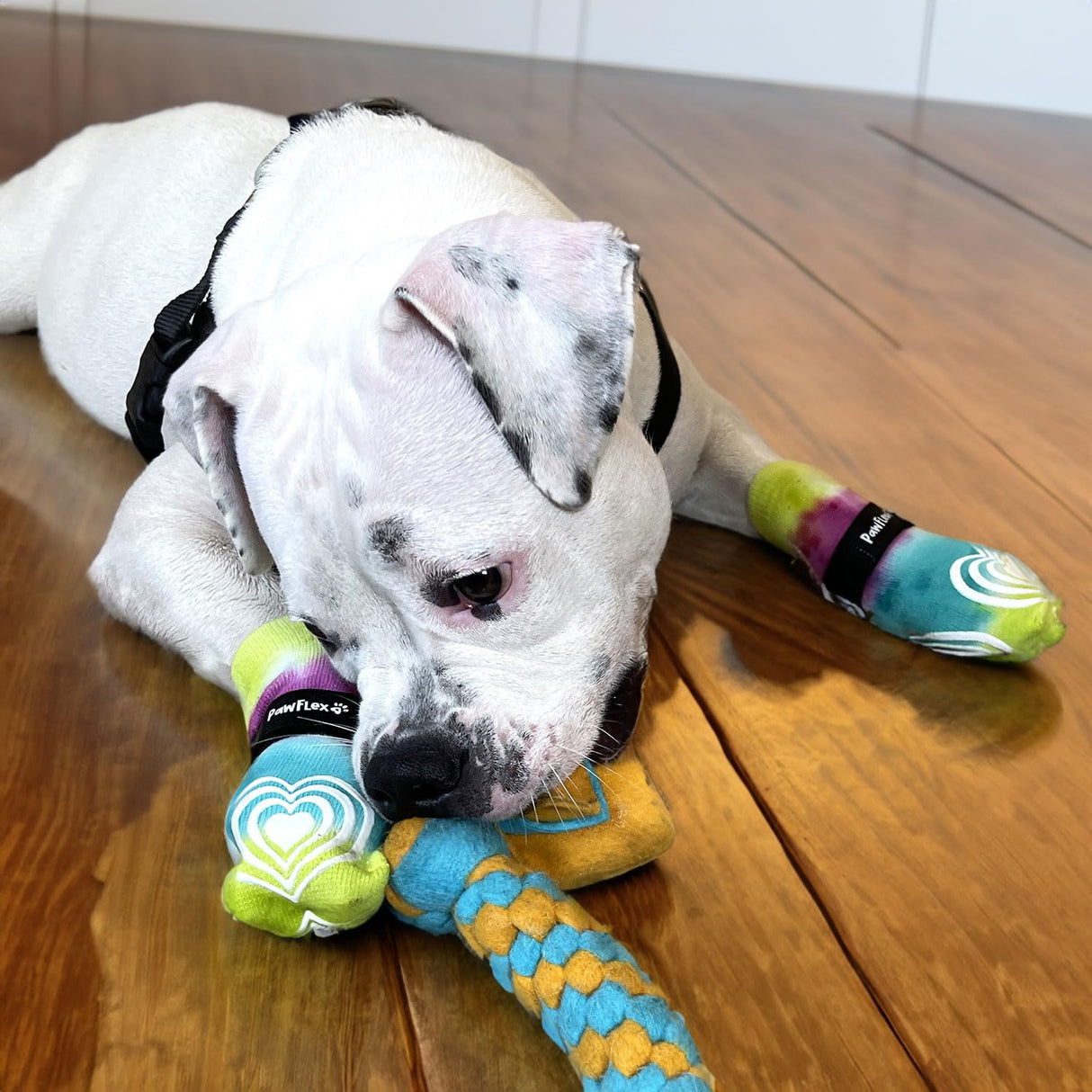 Medical Therapeutic Double Sided Non-Slip Cotton Dog Socks | PawFlex Comfy Pawz Silicone Grip on Inner Cuff No Twisting or Sliding Off | Senior & Disabled Dog Traction Control |Pet Paw Protection
