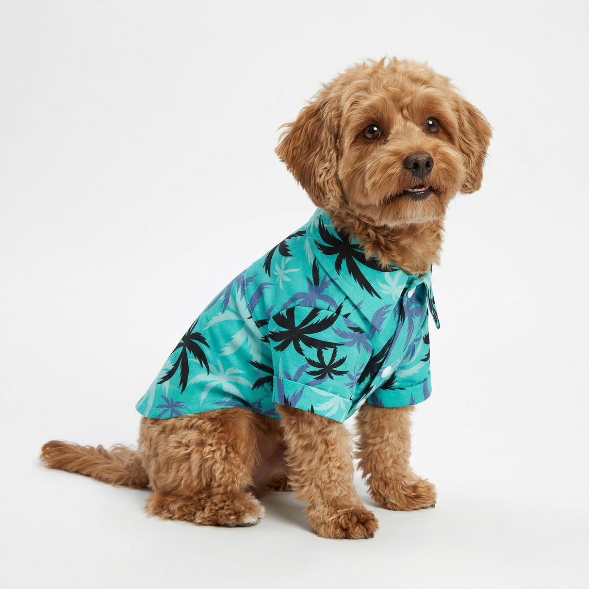 Fitwarm Hawaiian Coconut Palm Dog Shirt, Tropical Summer Clothes for Small Dogs Boy, Pet Collared Outfit, Light Sea Green, Black, XS
