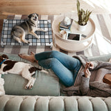 Caghash Elevated Outdoor Raised Dog Bed Outdoor Dogs Bed Lifted Pet Bed Dog Cot for Medium Pet Taste Life, Start with A Pet Bed 34'' x 20'' x 6.5''