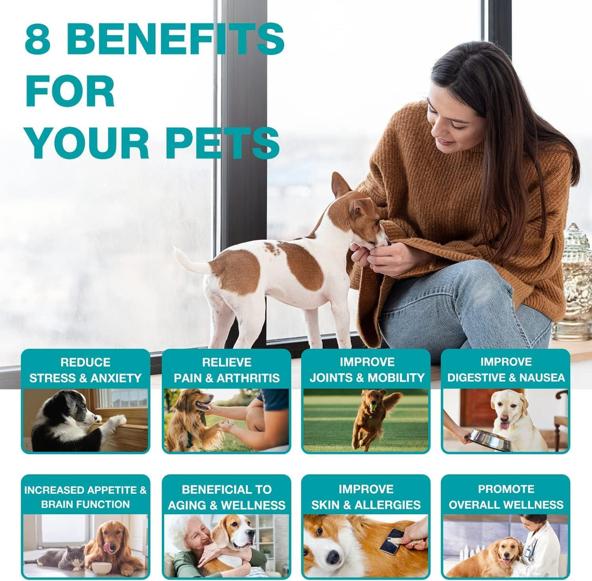 MaxHemp 2 Packs Pet Hemp Oil for Dogs and Cats- Anxiety, Stress Pain Holistic Inflammation Relief - for Joint Hip Аrthritis, Calming Oil Drop, Organic Pets Treats