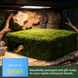 Hollima Mossy Cave Hide for Reptiles, Lizard Moss Hideout with Safe Shelter, Snake Cave Hut for Themed Terrarium Ideal for Gecko Hamster Snake to Rest & Hide