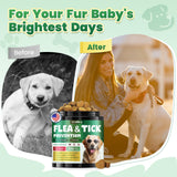 Flea and Tick Prevention for Dogs, 200 Natural Soft Chewables Flea and Tick Support with Vitamins & Fish Oil, Oral Flea Chews Supplement for Dogs -All Breeds, Puppy to Senior Dog, Chicken Flavor