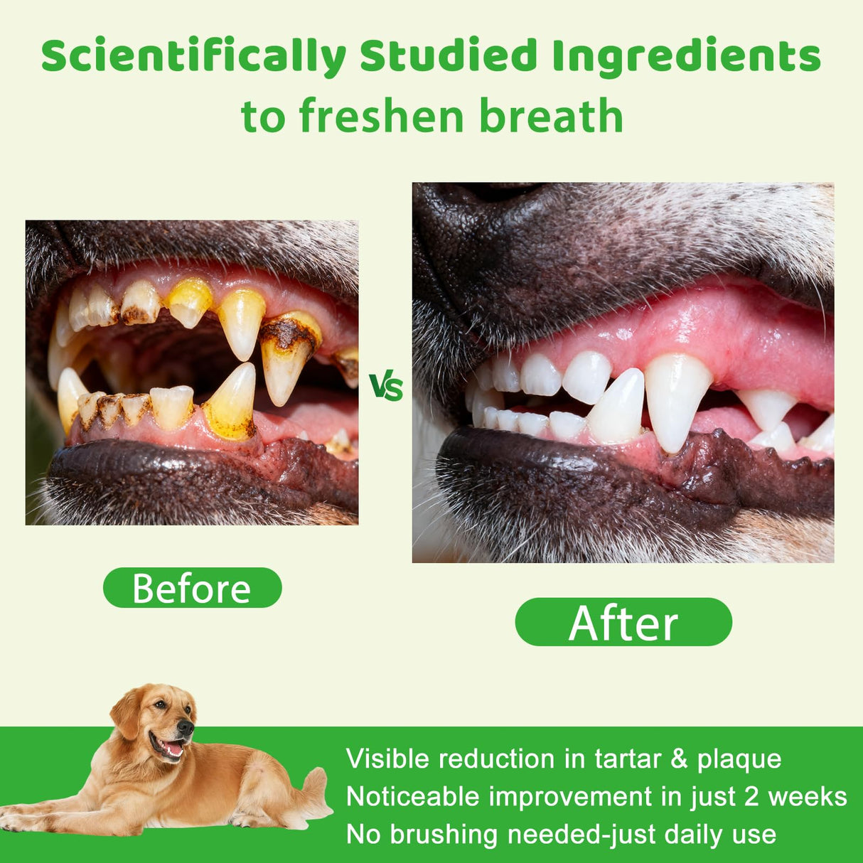 Dog Dental Powder, Dog Teeth Cleaning Powder Dog Breath Freshener with Natural Herbal Blend + Probiotics, Dogs Bad Breath Plaque Off Tartar Remover for Teeth Pet Tooth Cleaning, Mint, 60-Day Supply