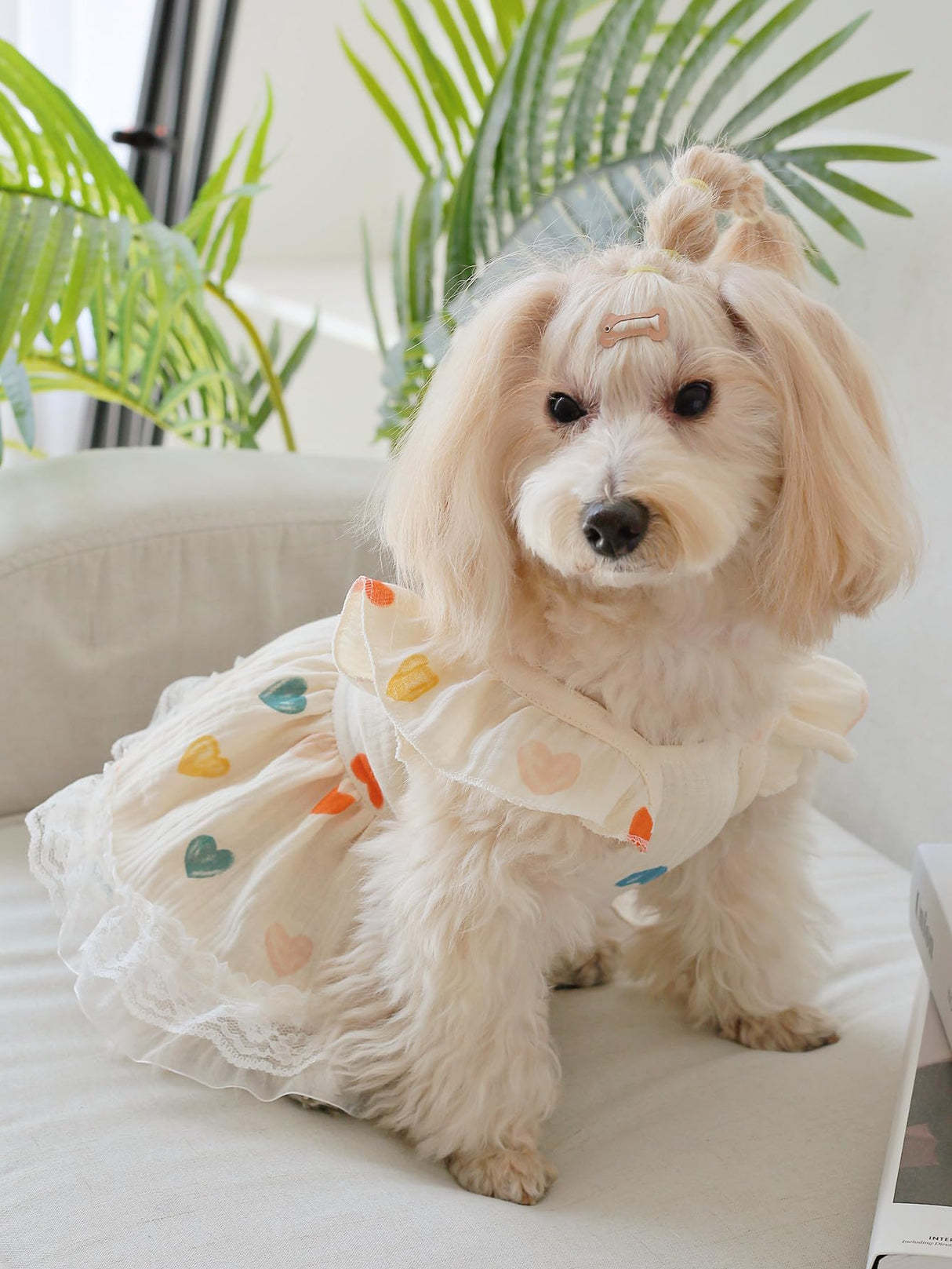 QWINEE 2pc Cute Heart Pattern Dog Dress Ruffle Trim Princess Dress Cat Vest Dress Lace Trim Summer Dress Pet Clothes for Small Medium Cats Dogs Kitten Puppy Black Multi Medium