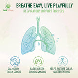 Mullein Lung Support Drops for Dogs & Cats, Relieves Kennel & Dry & Wet Cough, Lung Cleanse, Soothes Sore Throat, Eases Breathing - Pure Plant Extract, Hormone & Chemical Free, with Chlorophyll