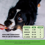 Cranberry Bladder Health for Dogs – Contains Active Ingredients - Cranberry & D-Mannose to Help Support Dog Urinary Tract Health, Dog Bladder Support, & Kidney Support for Dogs (Bacon)