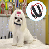 4 Pcs Pet Grooming Loops and Supplies - Dog Belly Loop Restraint No Sit Haunch Holder for Arm and Table, Sturdy Noose Loop for Small Medium Large Dogs