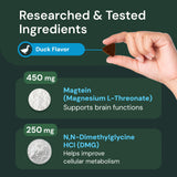 VetriScience Veterinary Strength Healthy Cognition Chews - Senior Wellness Supplement for Dogs - Supports Cognition, Immune Function & Metabolism - 60 Count