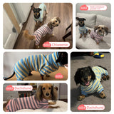 HowlyWoof Dachshund Dog Shirt, Thin Striped Base Layer Onesie for Wiener Dogs, Lightweight All-Season Wear, Soft & Comfy Fit for Doxie and Short-Leg Breeds (Pink&Grey, Size 1 (7-11lbs))
