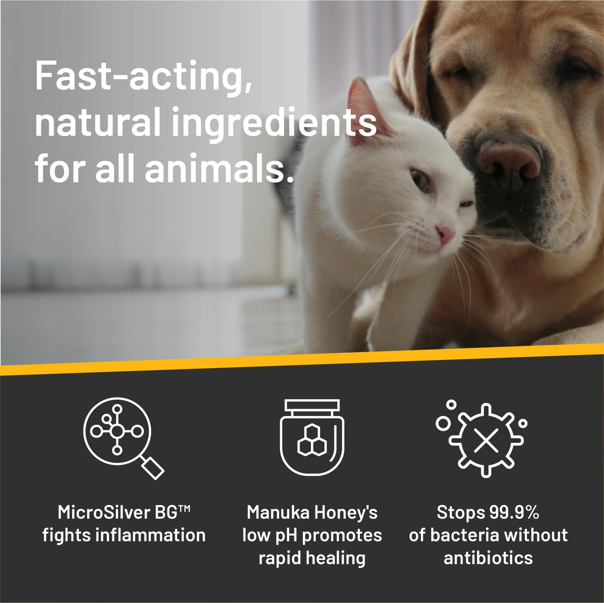 Absorbine Silver Honey Hot Spot & Wound Care Ointment for Dogs, Cats, Small Animals, 2oz Tube