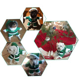 NACOCO Pet Christmas Costumes Dog Suit with Cap Santa Claus Suit Dog Hoodies Cat Xmas Costumes (Green, XXL)