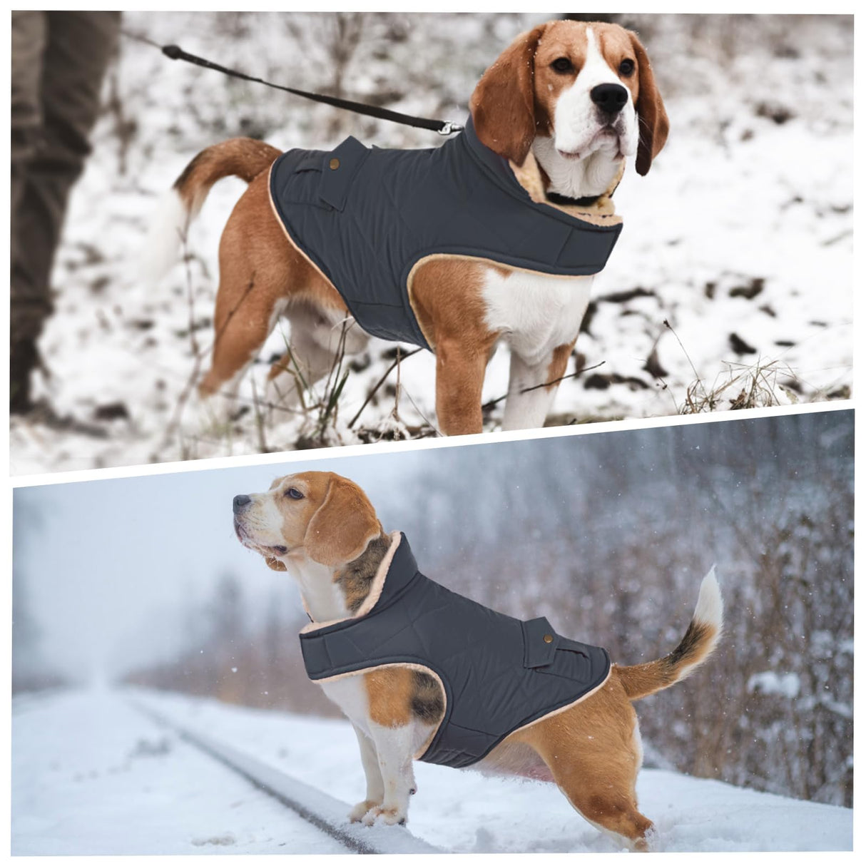 ASENKU Warm Dog Winter Coat, Waterproof Dog Coat for Cold Weather, Fleece Dogs Jacket with Ultra Thick Plush Lining Leash Hole Storage Pockets for Small Dogs (Navy Blue, Small)