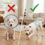 LovinPet 3-Layer Dog Belly Warmer Calming Wrap, Adjustable Abdominal Protector for Medium and Large Dogs, Anti-Chafe Moisture Barrier, Memory-Foam Core + Mesh Lining, Dinosaur Print,White