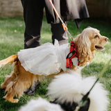 FLAdorepet White Dog Dress Tutu Princess Skirt with Bowknot Dog Luxury Formal Party Birthday Wedding Dress Bride Costume for Small Medium Dog (Small(5-6lbs), White)