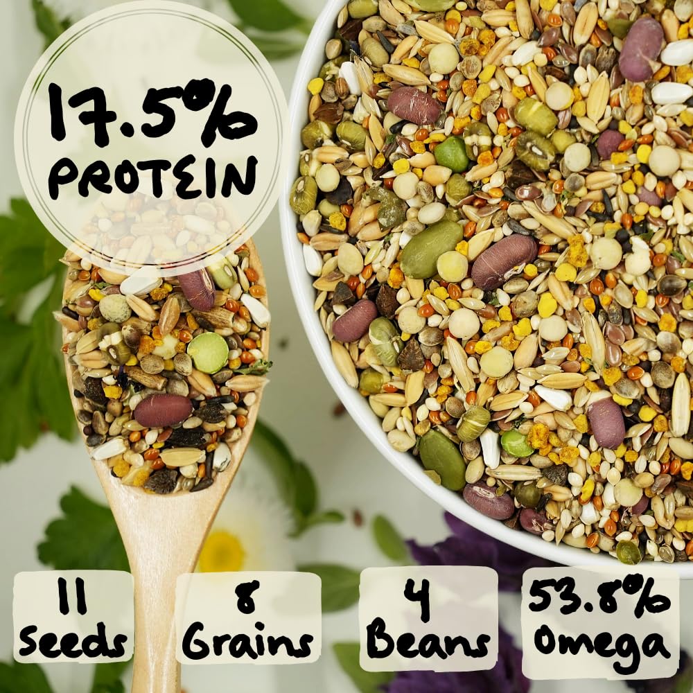 KikiBirds Feather Shine High Potency Blend with Bee Pollen & Freeze-Dried Sprouts - Premium Parrot Food for Molting, Breeding & Growth - Omega Rich | 17.5% Plant Protein | USA-Made