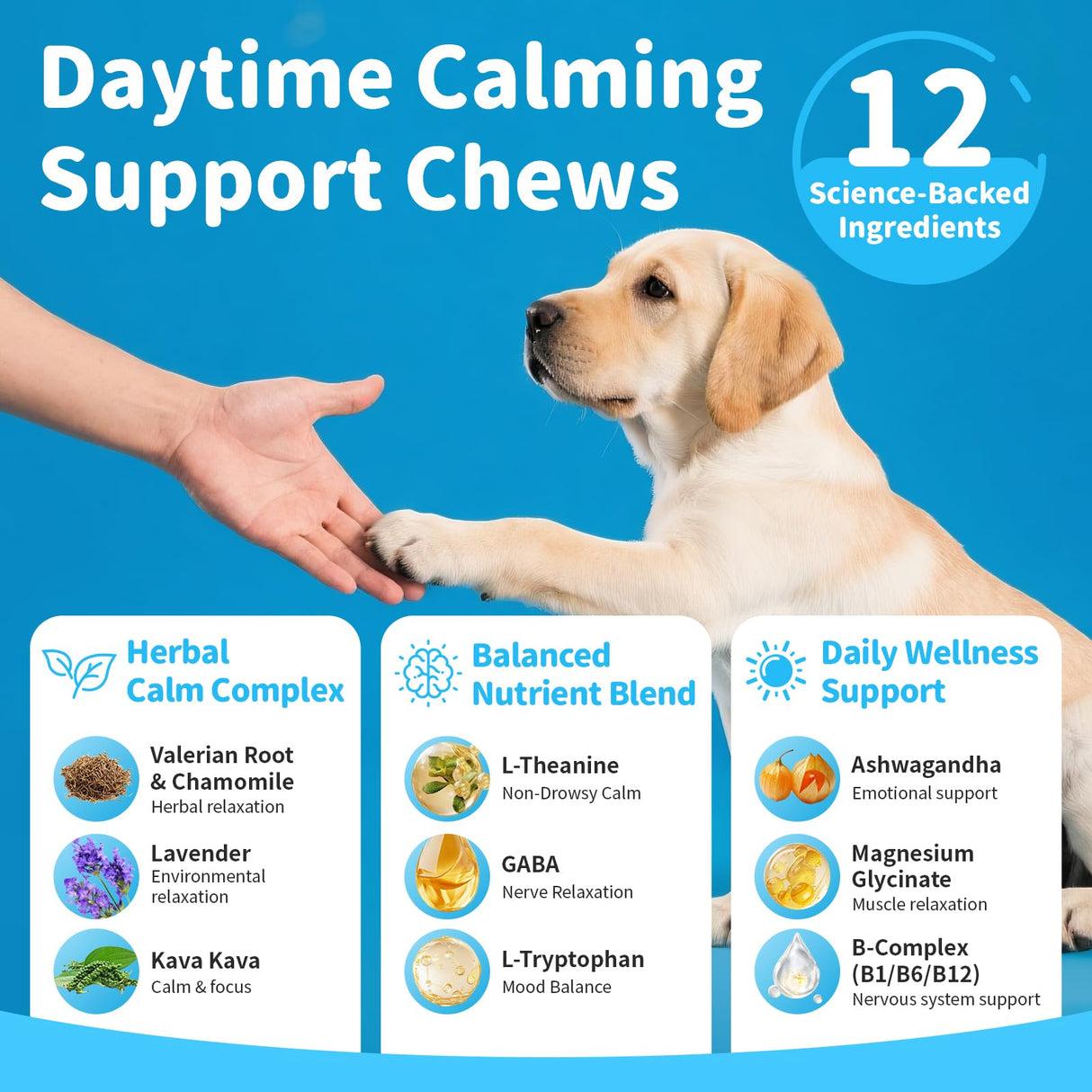 POPPAW Calming Chews for Dogs – Calming Treats for Anxiety, Stress, Separation, Travel & Thunder, Non-Drowsy Alternative to Melatonin, Calm & Focus with Chamomile & Ashwagandha, Bacon Flavor, 90Ct