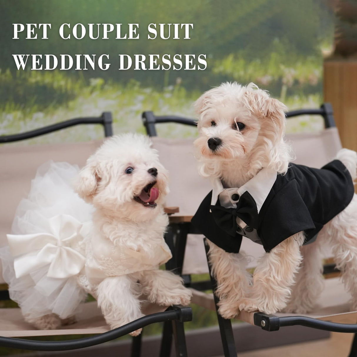 Dog Dress Wedding Outfits, Princess Lace Tutu Strappy Skirt for Female Puppy Small Medium Dogs Girl Cats Costume (Embroidery Dress, Medium)