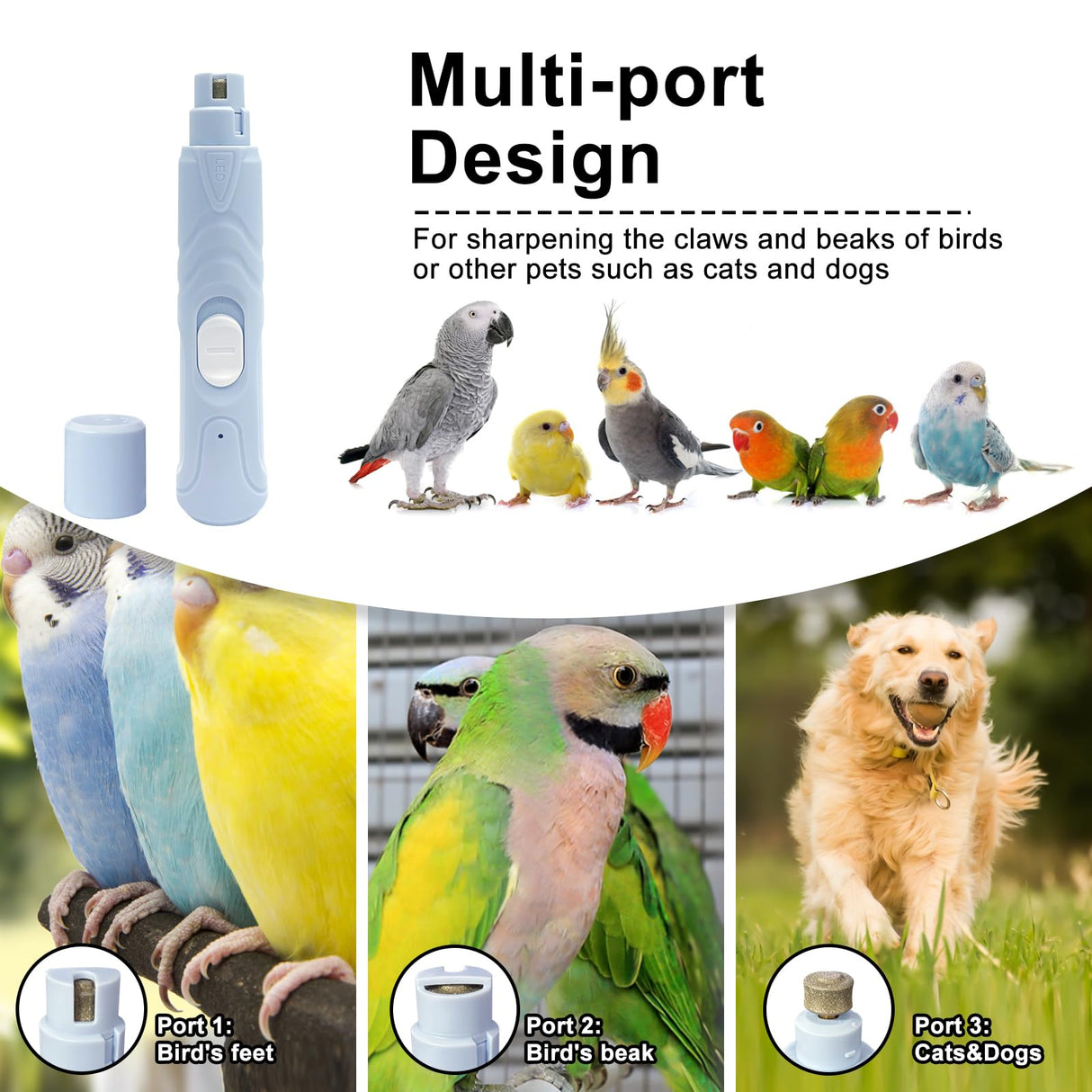 LUKHMELF Bird Nail Grinder,Bird Beak Grinder,Silenced Bird Nail File with LED Lamp,Suitable for Budgerigars,Parakeets,Conure,Parakeets,Crested Myna,Lovebirds, Finches.