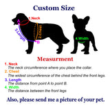 Personalized Best Dog Harness with Bow Tie, Suspenders & Custom Embroidered Text | Wedding Dog Tuxedo | Optional Ring Bearer Clasp | Perfect Attire for Wedding & Birthday by ACORD EU (Dark Gray)
