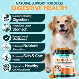 Carmelie Probiotics for Dogs, 200 Soft Chews Digestive Probiotics & Enzymes for Gut Health with Pumpkin, Fibre for Dogs Anti Diarrhea, Upset Stomach, Gas Relief, Itchy Skin & Immune Support (Chicken)