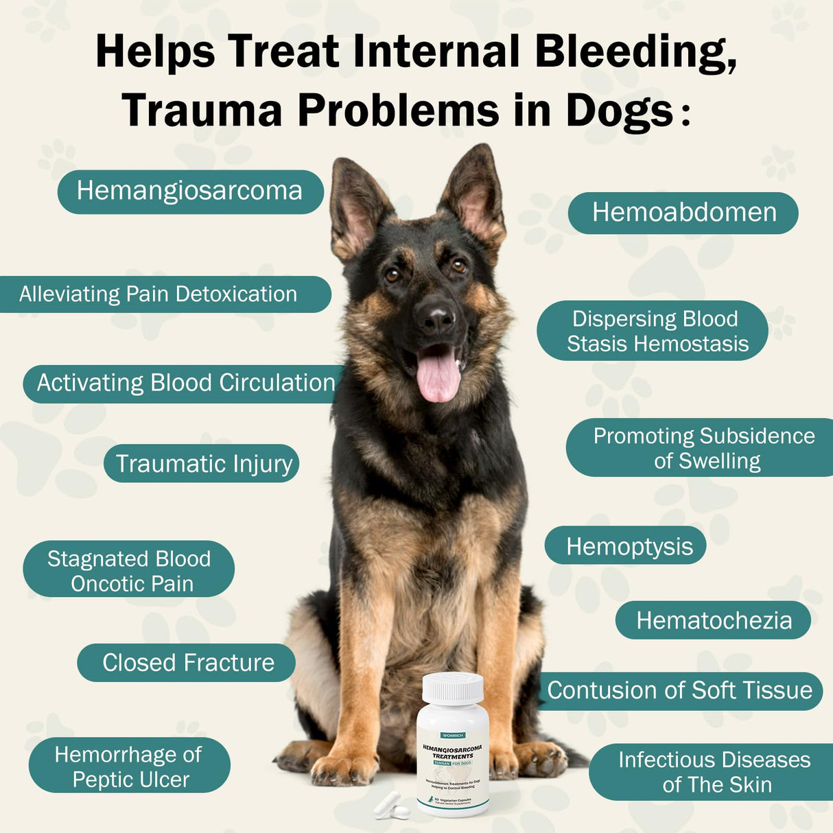 Blood Support for Dogs, Yunan Sanqi Capsules for Dogs for Hemangiosarcoma, Hemoabdomen, Pericardial Effusion, Cancer Bleeding, Severe Bruising, Ulcer-Related Bleeding, Bloody Stools - 60 Capsules