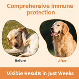 Quercetin & Bromelain for Dogs & Cats with Colostrum & Probiotics - Supports Immune System, Relieves Itchy Allergies, Anti-Inflammatory Antioxidants, Veterinarian Recommended, 120 Chewable Tablets