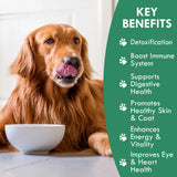 Holistic Bin Canine Fermented Chlorella Tablets | Plant-Based Supplements for Pets | Nutrient-Rich Dog Meal Toppers | Breath Freshener Treats Packed with Chlorophyll | Chlorella Tablets (100 Pieces)