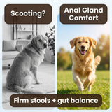 QUEPEYKI Anal Gland Support Soft Chews for Dogs, 90 Count – Pumpkin Seed Fiber, Psyllium & Dandelion Root with Probiotics (800M CFU) – Supports Firm Stools & Digestive Balance – Chicken & Liver