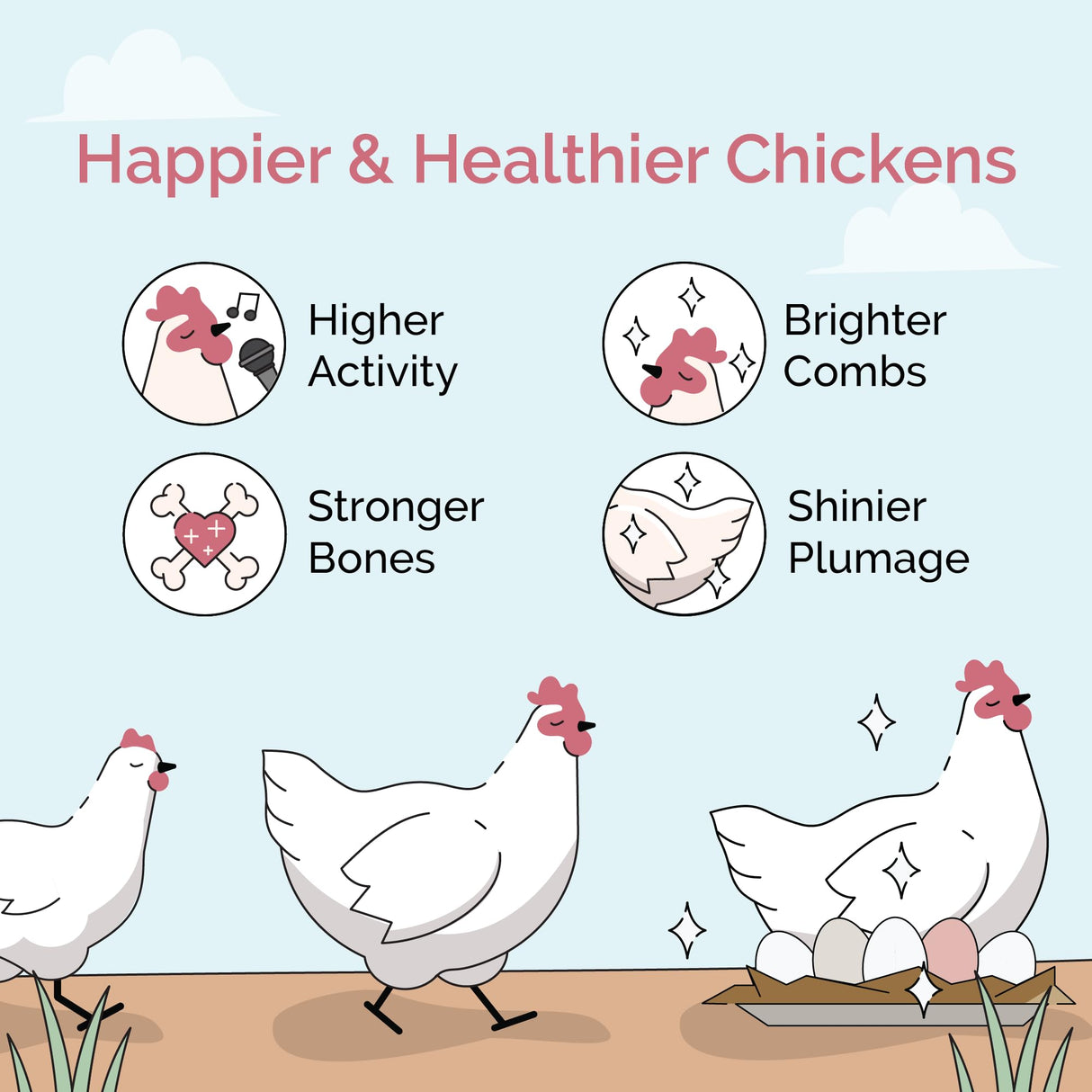 Mile Four Chicken Grit for Layer & Grower Chickens Age 8-20+ Weeks - 100% Natural Mineral Chicken Grit Quartzite, Poultry Grit, USA Mined, 4 lbs