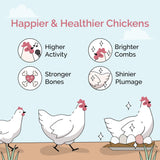 Mile Four Chicken Grit for Layer & Grower Chickens Age 8-20+ Weeks - 100% Natural Mineral Chicken Grit Quartzite, Poultry Grit, USA Mined, 4 lbs