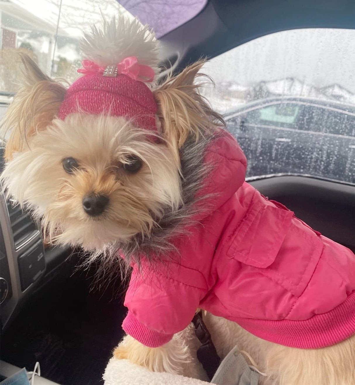 NAMSAN Dog Coats for Small Medium Dogs, Winter Jacket for Puppy Female, Windproof Snowproof Dog Warm Coat with Leash Hole, Pink L