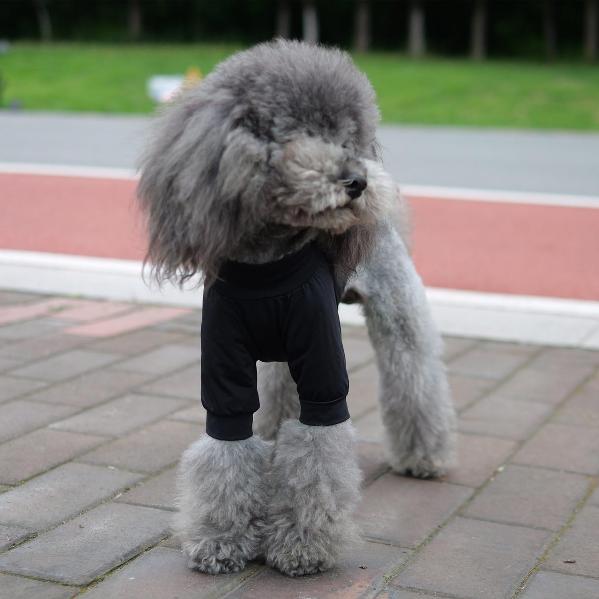 LoveLongLong Spring Summer Cooling Dog T-Shirt with UV Protection and Moisture-Wicking Fabric Blank Color Black XL