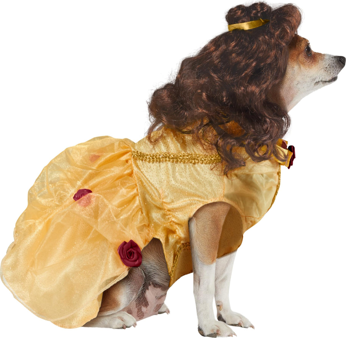 Disney Princesses: Belle Pet Costume for For Dogs or Cats by Rubies, XXXL