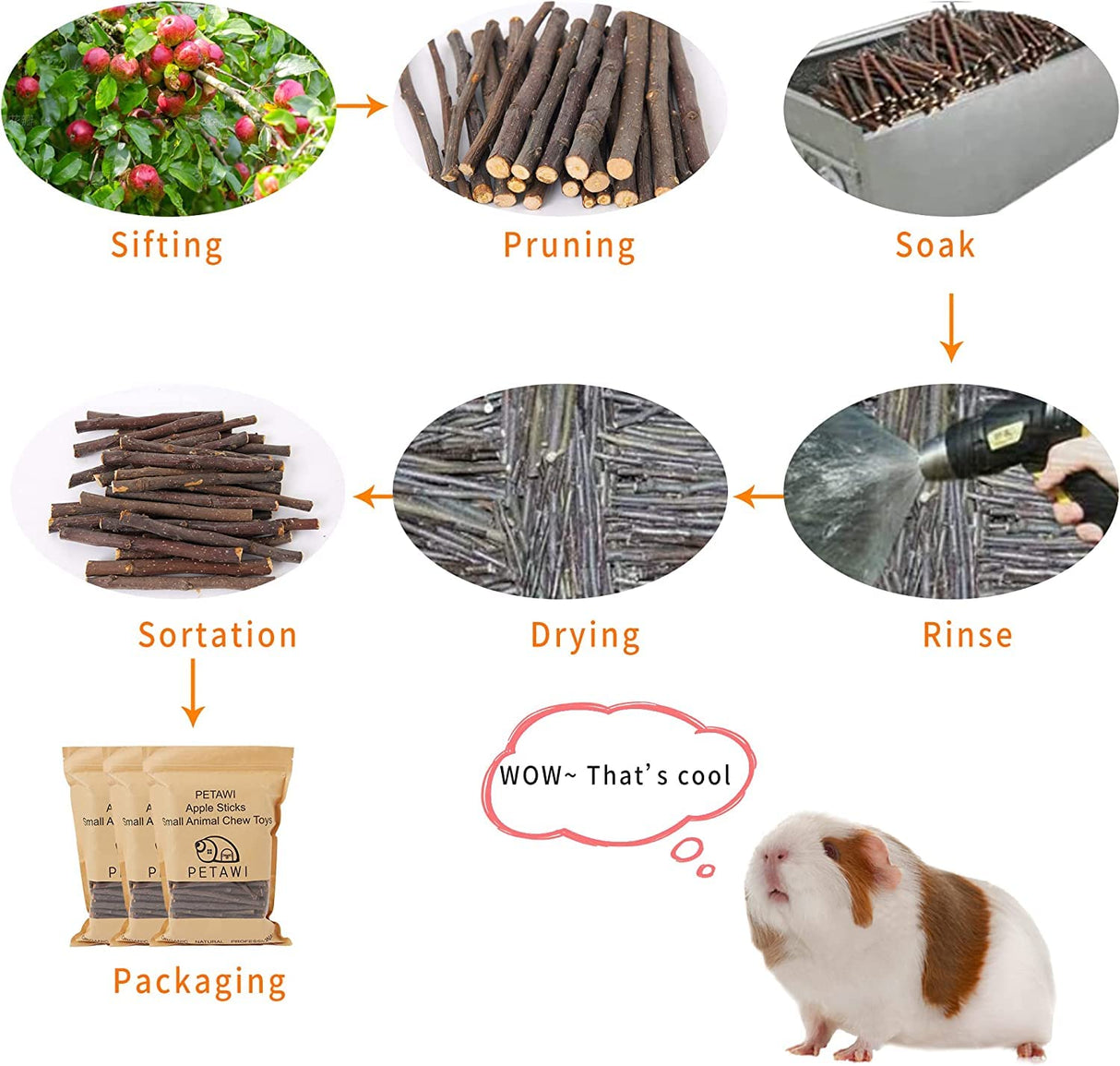 Petawi 700g Apple Sticks Molar Wood Treats, Rabbit Toys Chinchilla Guinea Pig Bunny Toys Wood Chews Sticks for Teeth Rabbit Food Guinea Pig Hamster Gerbil Chews Small Animals Snacks(200 Pcs)