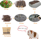 Petawi 700g Apple Sticks Molar Wood Treats, Rabbit Toys Chinchilla Guinea Pig Bunny Toys Wood Chews Sticks for Teeth Rabbit Food Guinea Pig Hamster Gerbil Chews Small Animals Snacks(200 Pcs)