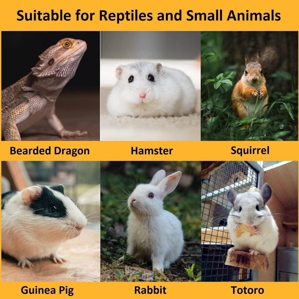 18Pcs Bearded Dragon Festival Costumes, Lizard Hats Clothes at Birthday Halloween Christmas, Festive Costume Accessories Set for Gecko Chameleon Iguana Hamster Ferret Reptile (Boy Set/18 Pcs)