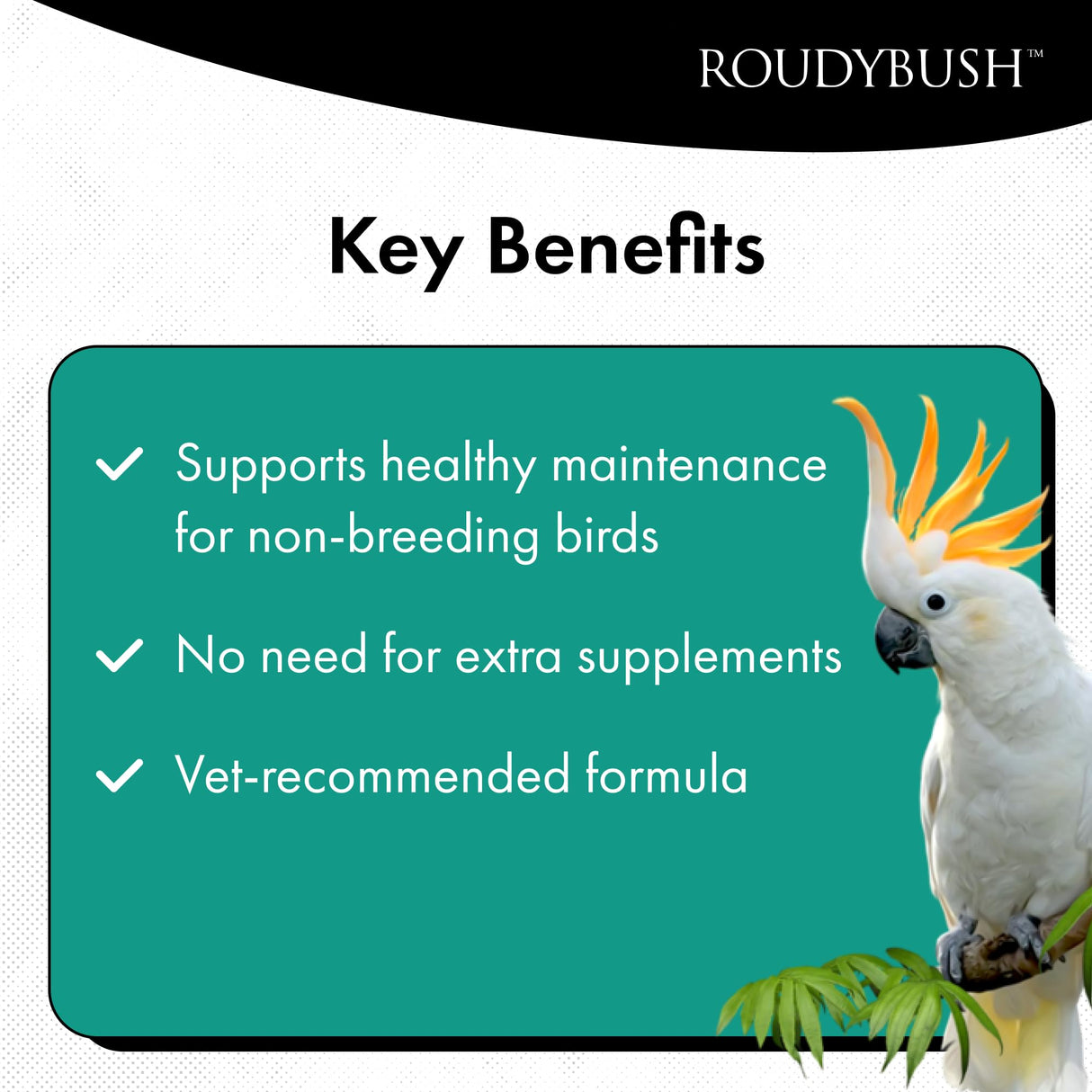 RoudyBush Daily Maintenance Bird Food, Mini, 10-Pound