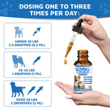 Kennel Cough Herbal Drops for Dogs & Cats,Dog Cough Treatment,Dog Cough Suppressant,Kennel Cough for Dogs,Coughing Treatment Liquid,Cough Treatment for Cats,Natural Cough Supplement for Cat