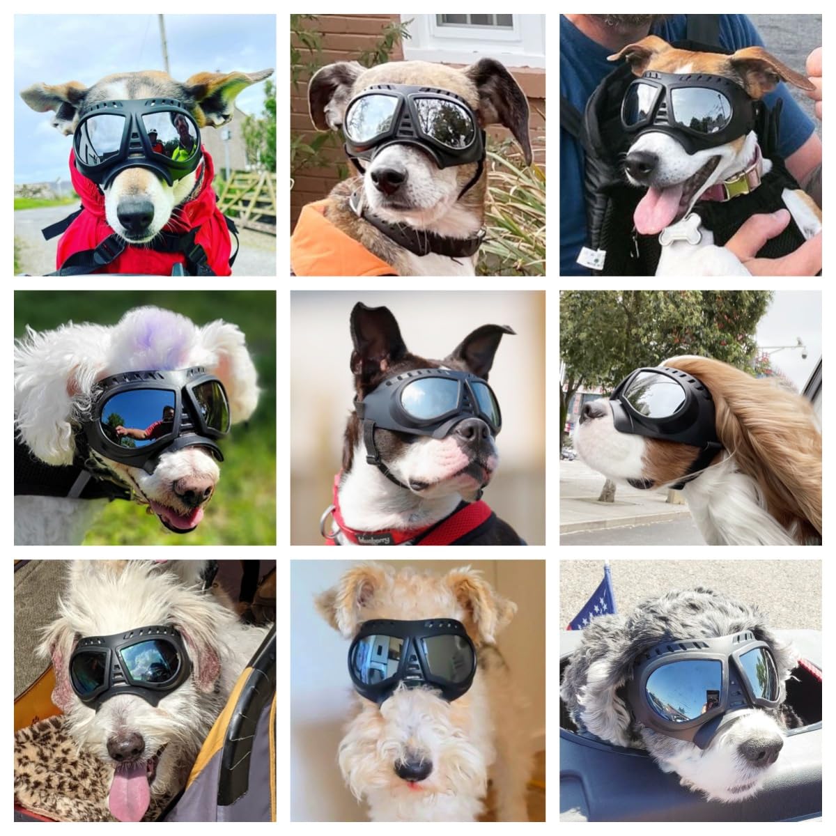 NAMSAN Dog Goggles Small Breed, UV-Protection Doggie Sunglasses for Small to Medium Dogs, Soft Doggy Eye Protection, Anti-Fog Anti-Dust Windproof Snowproof, Adjustable Straps, Lens Silver