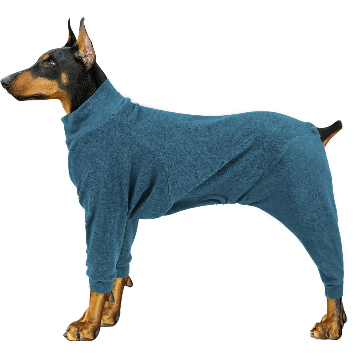 Dog Winter Coat for Small Medium Large Dog Run Walk Sleep Pet Warm Fleece Sweater & Windproof Pajamas Snow Jacket Small Turquoise