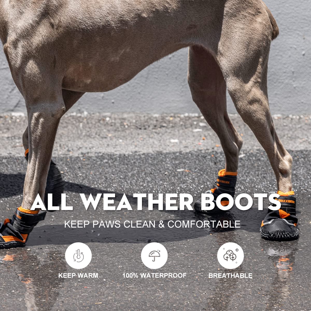 Boxxberk Dog Boots for Large Dogs,Waterproof Dog Booties for Winter Snow,Anti-Slip Dog Shoes Paw Protector with Reflective Strap for Hot Pavement,Hardwood Floor,Outdoor Hiking (Black, 2.75")