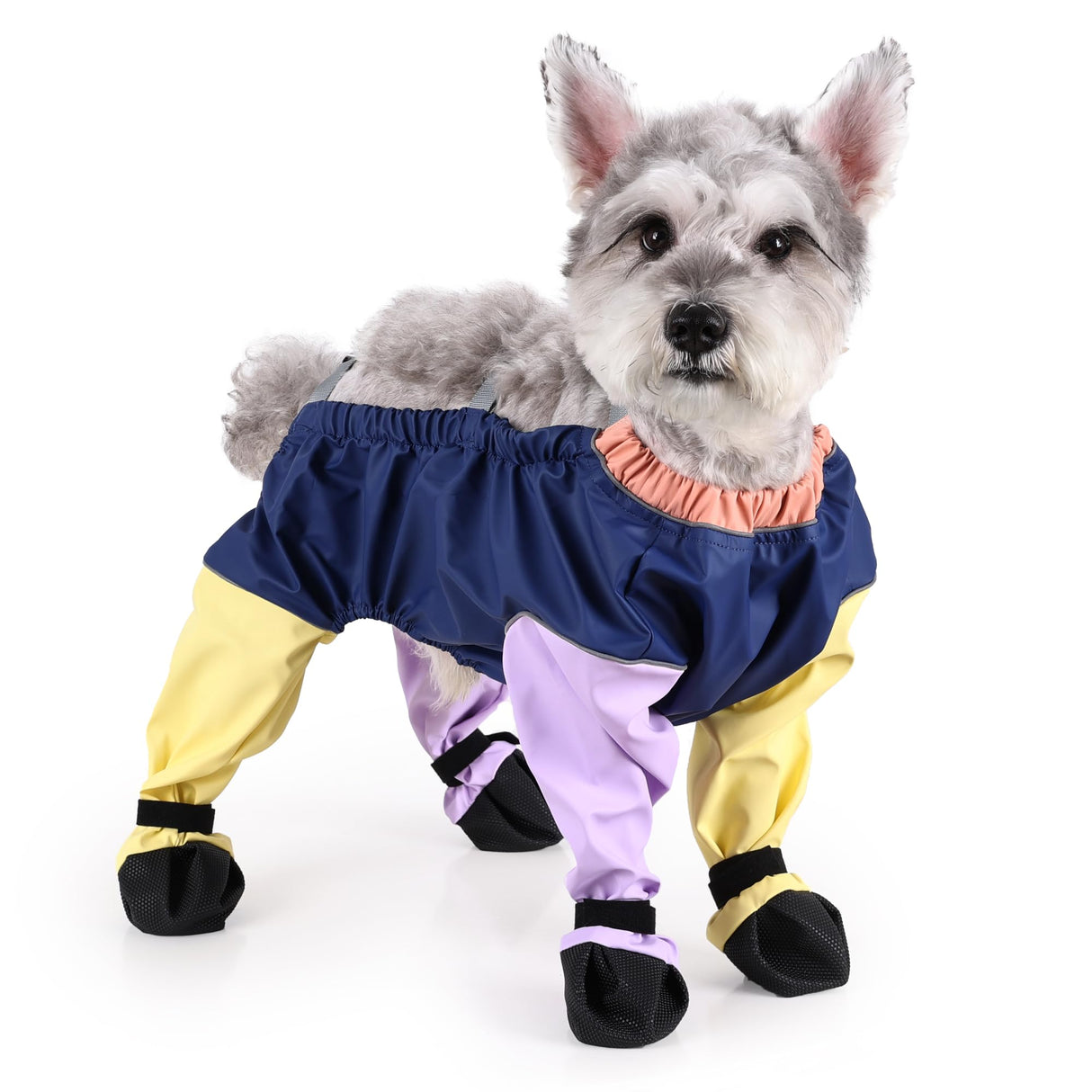XUANNIAO Dog Suspender Booties, Dog Paw Boot Rain Shoes Leggings Anti-Slip, Pet Paws Protector (Mix-Color, Small)