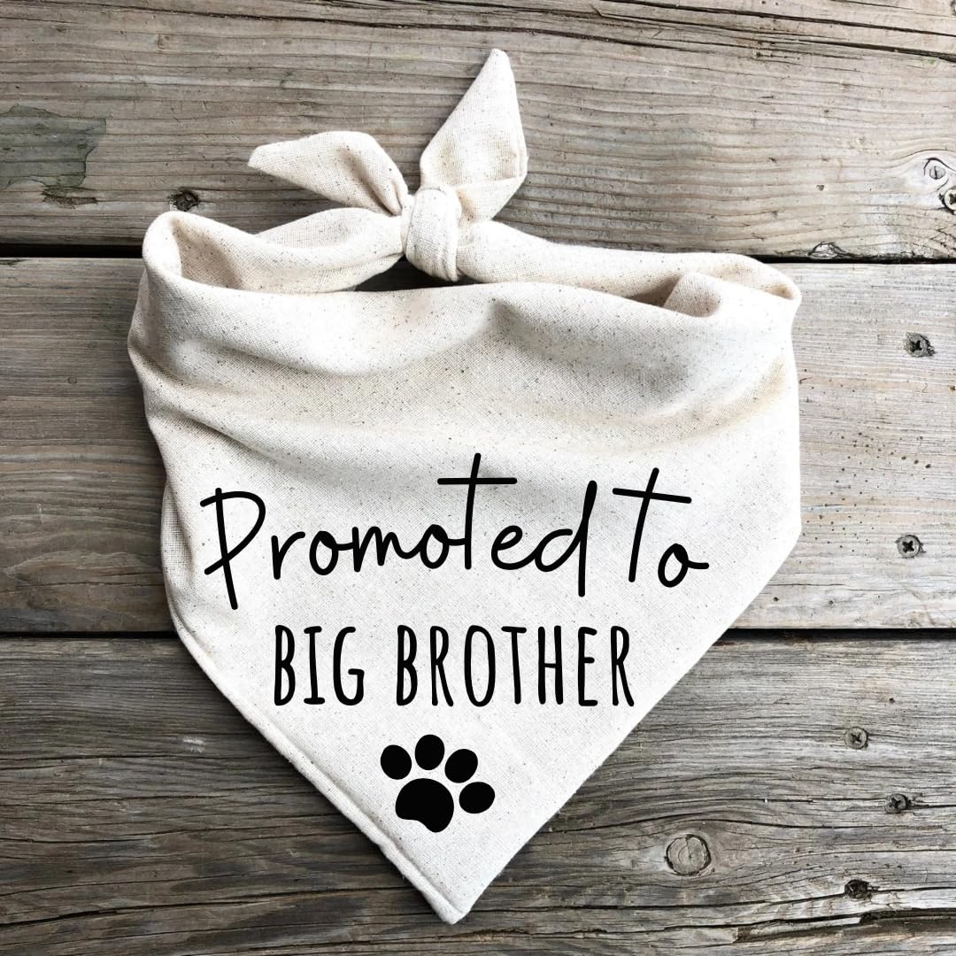Dog Bandanas Promoted to Big Brother Pregnancy Announcement Baby Reveal Oatmeal Beige Minimal (Small)