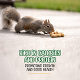 Premium Quality Raw Peanuts in Shell - 5 Pounds – All-Natural Food for Squirrels, Deer, Birds, and Other Wildlife Animals – Grown in The USA for Healthy Nutrition