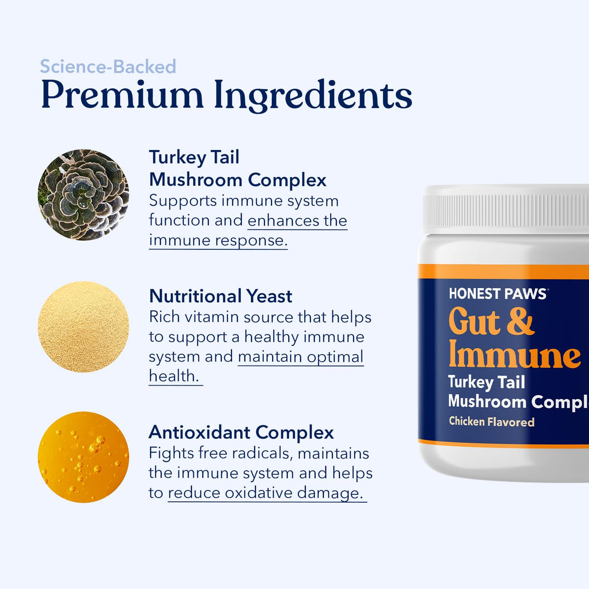 Honest Paws Turkey Tail Mushroom for Dogs - Digestive and Immune Support - Shiitake, Reishi, Maitake Mushroom Supplement Powder for Dogs - No Filler, No Additives - (30 Scoops)