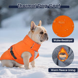 IECOii Dog Winter Jacket Reflective Winter Coats with Harness Hole Adjustable Windproof Jackets Warm Pet Snow Vest for Dachshund Waterproof Cold Weather Coat for Outdoor, Pink, Size M