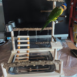 GOVNPJ Bird Playground with Feeder Cups, Wooden Parrot Play Stand for Cockatiel, Parakeet