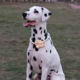 Elegant Pearl Flower Dog Necklace – Adjustable & Stylish for Weddings, Birthdays, and Parties (Yellow, L（18.5-20.5 inches）)