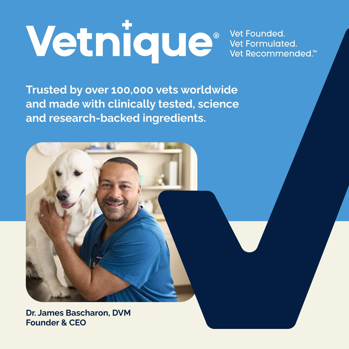 Vetnique Glandex Anal Gland Soft Chew Treats with Pumpkin for Dogs Digestive Enzymes, Probiotics Fiber Supplement for Dogs Boot The Scoot (Bacon Flavor Chews, 60 Count)
