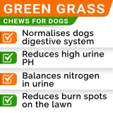 Grass Burn Spot Chews for Dogs - Dog Urine Neutralizer for Lawn - Dog Pee Lawn Spot Saver - Natural Treatment Caused by Dog Urine - Grass Treatment Rocks -DL-Methionine+Enzymes - 120 Chew